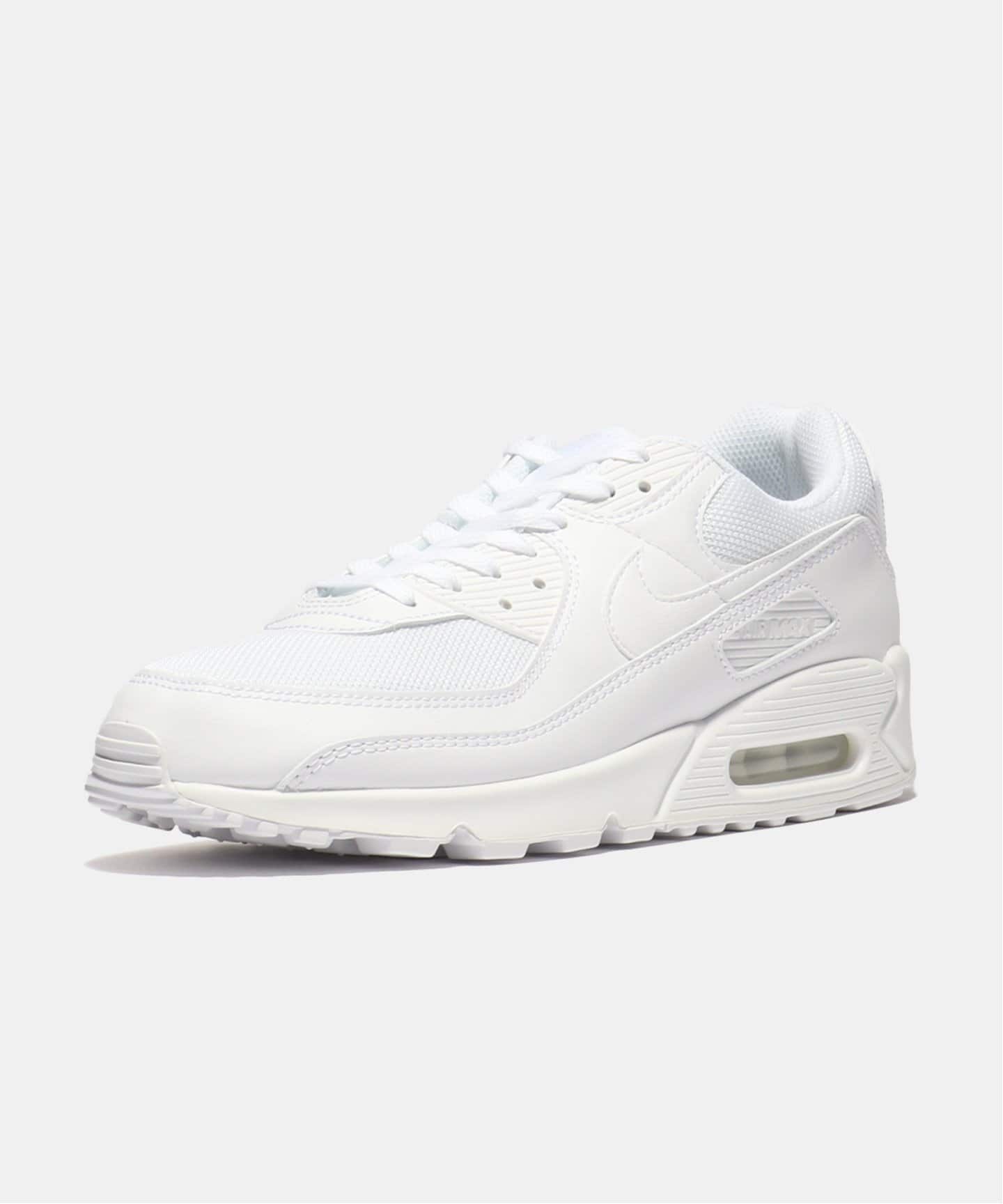 NIKE AIR MAX 90 CN8490-100