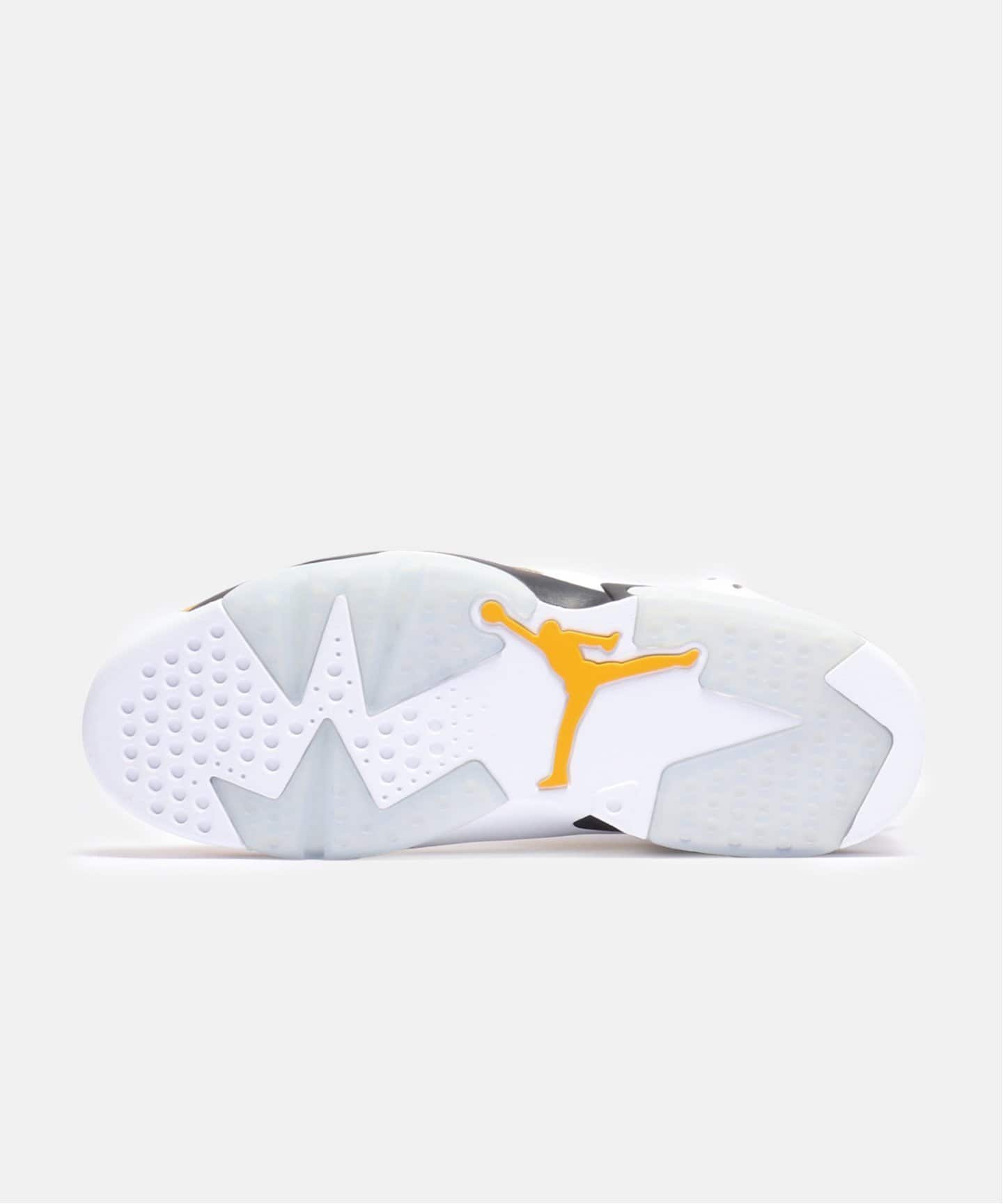 【JORDAN BRAND / ジョーダン ブランド】AIR JORDAN 6 RETRO CT8529