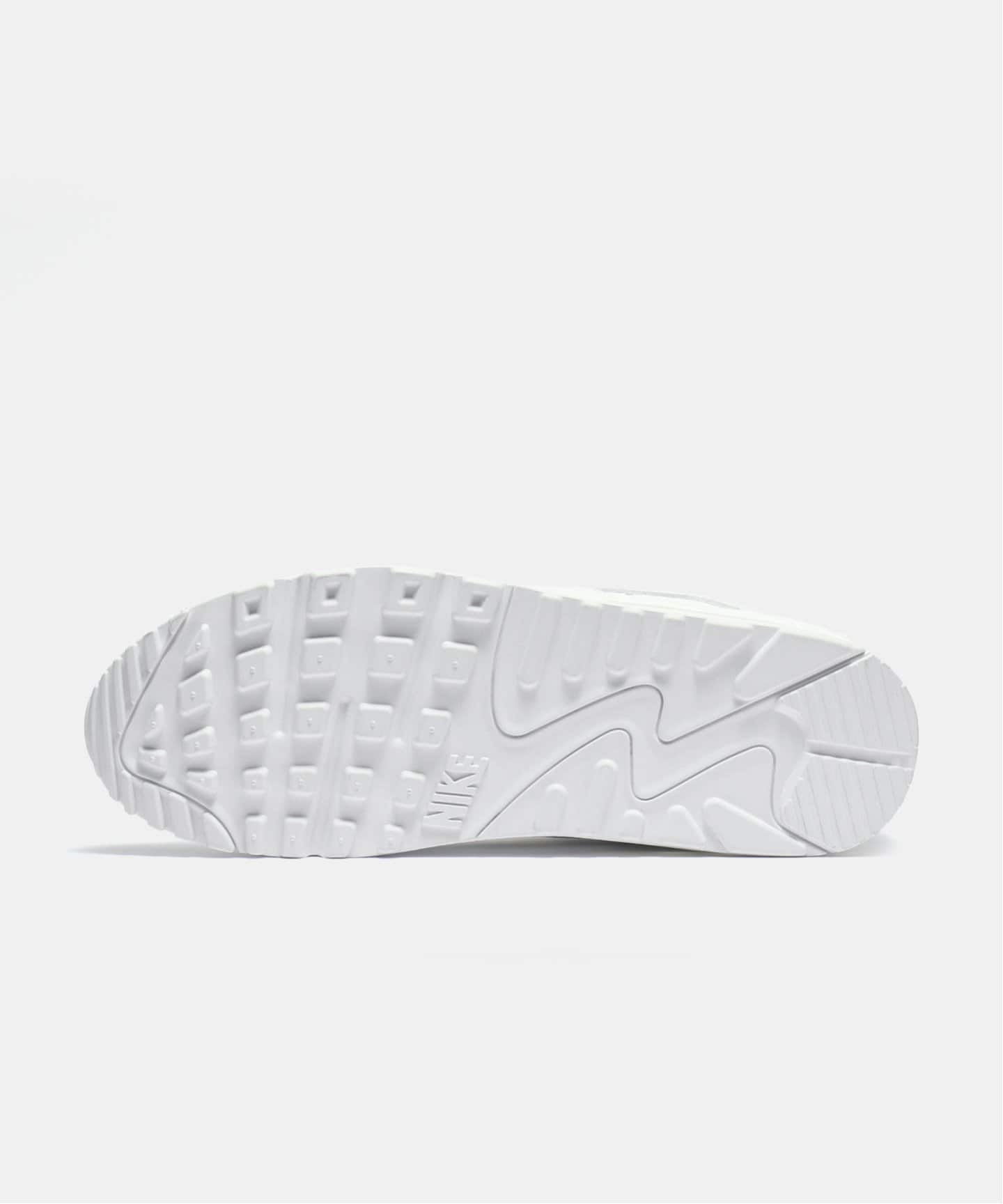 【NIKE / ナイキ】AIR MAX 90 LTR CZ5594-100