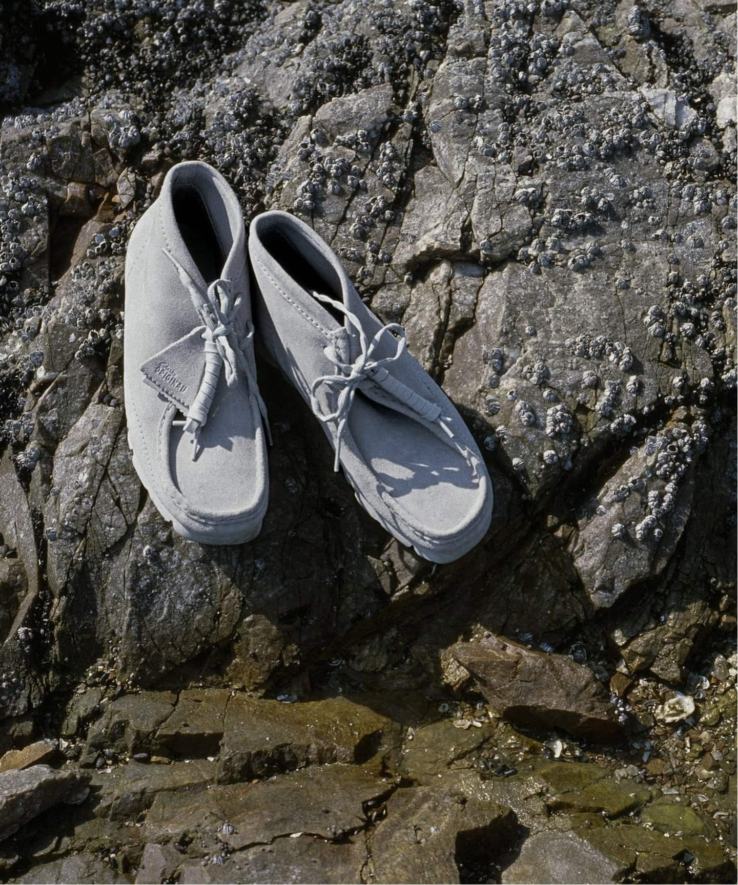 Clarks WallabeeBT PAF 26186607