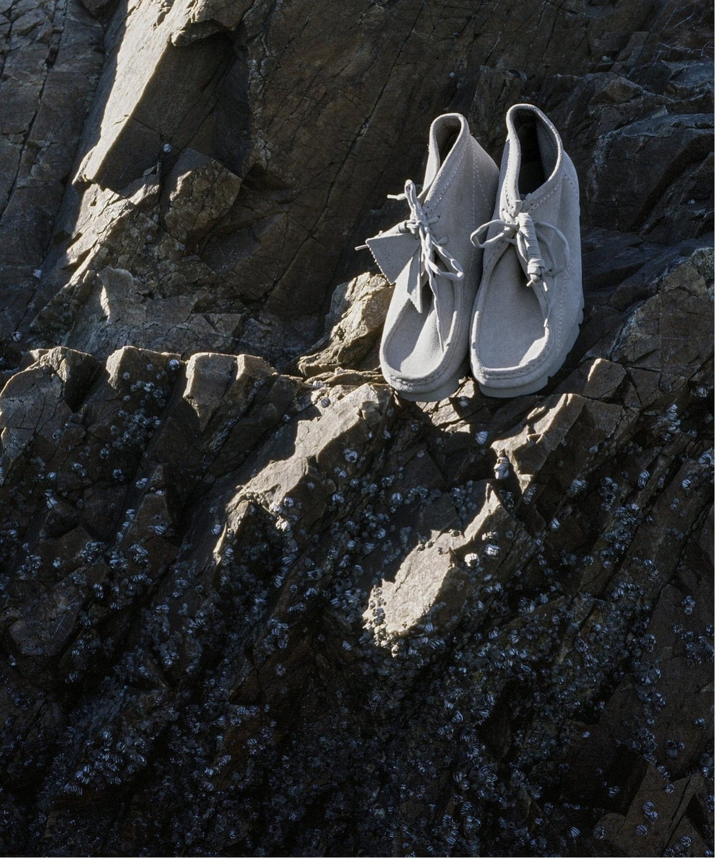 Clarks WallabeeBT PAF 26186607