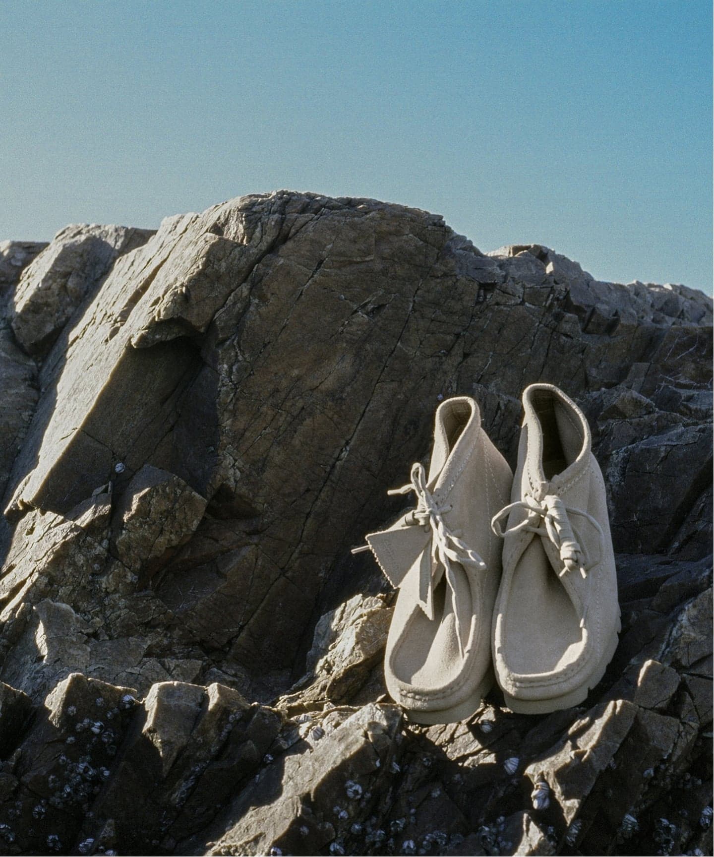 Clarks WallabeeBT PAF 26186608