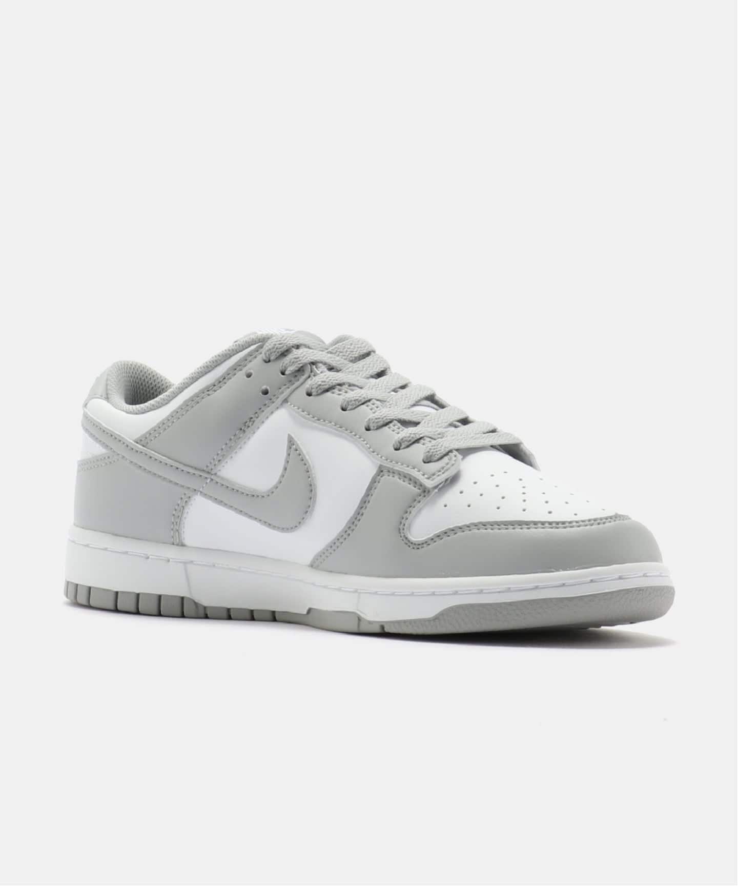 NIKE DUNK LOW RETRO HF5441-105