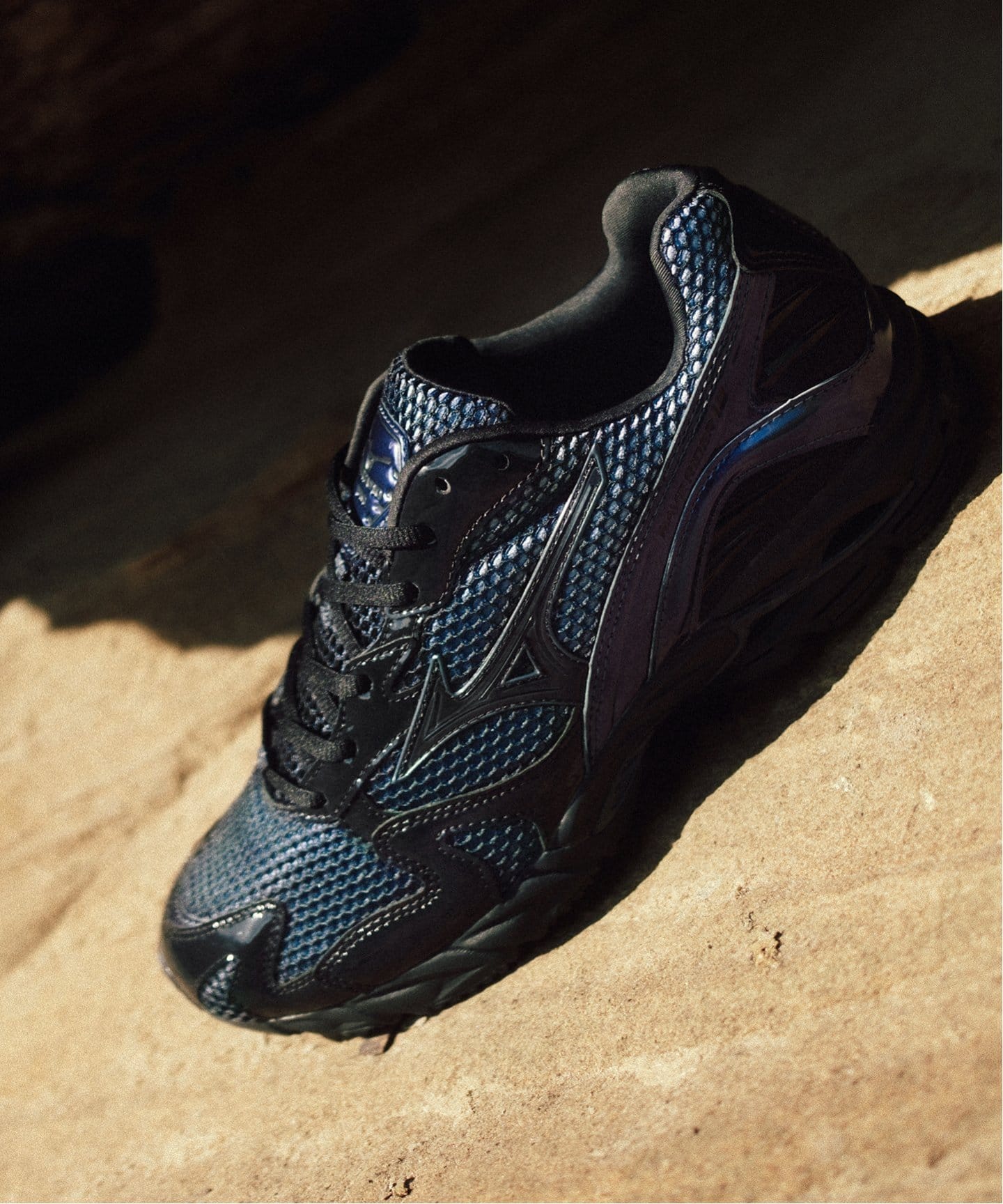 MIZUNO WAVE RIDER10 END. D1GD2434-01
