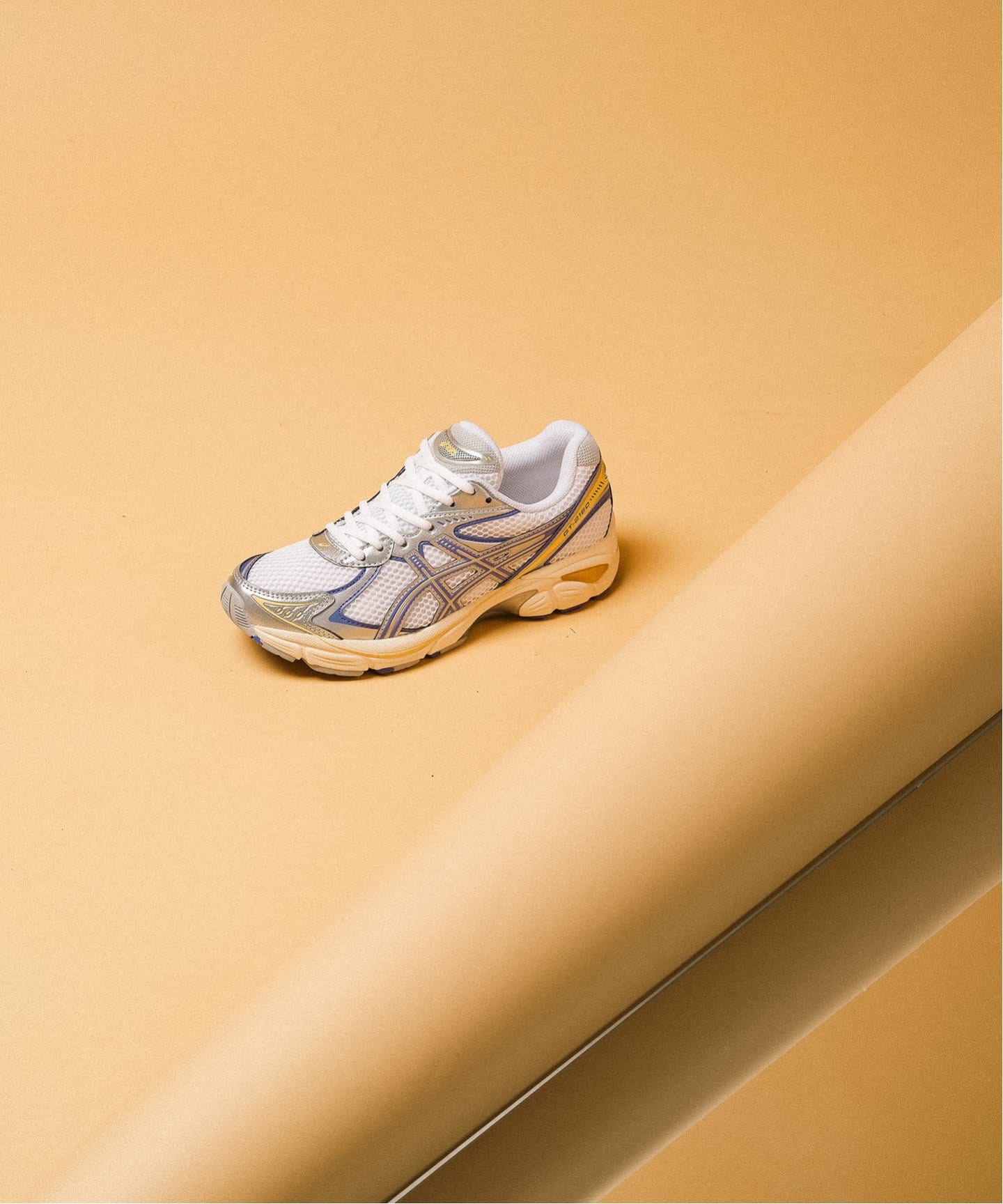 【日本国内限定カラー】ASICS GT-2160 1203A275.109