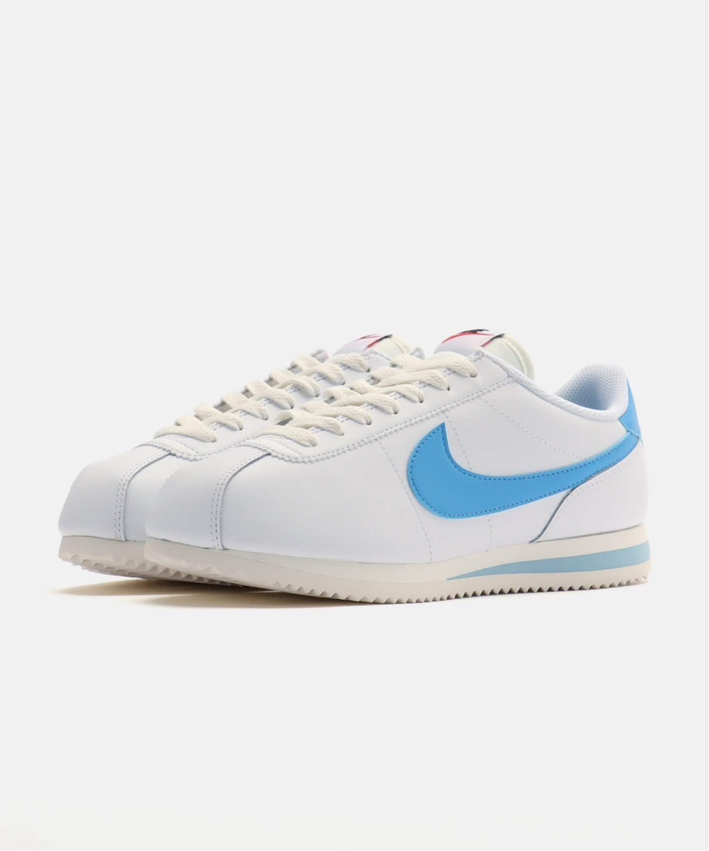 【NIKE / ナイキ】WMNS CORTEZ DN1791-102