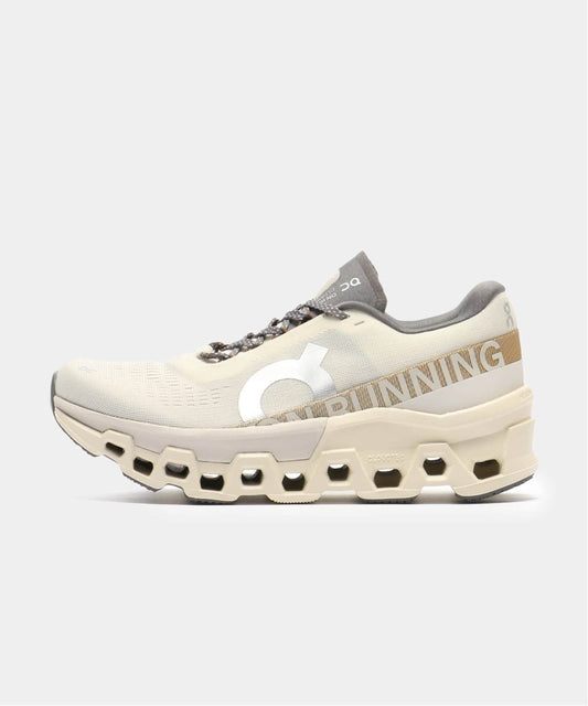 On Cloudmonster 2 3WE10112569