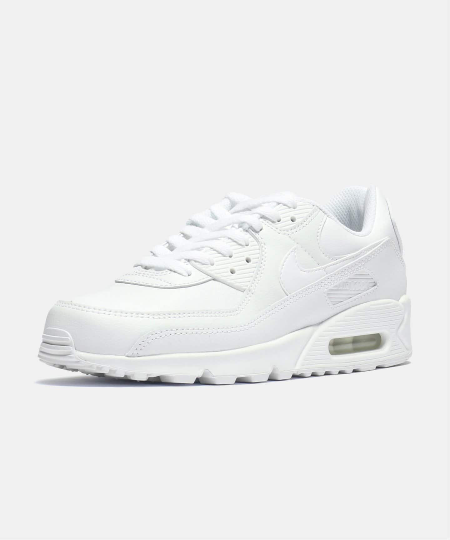 【NIKE / ナイキ】AIR MAX 90 LTR CZ5594-100