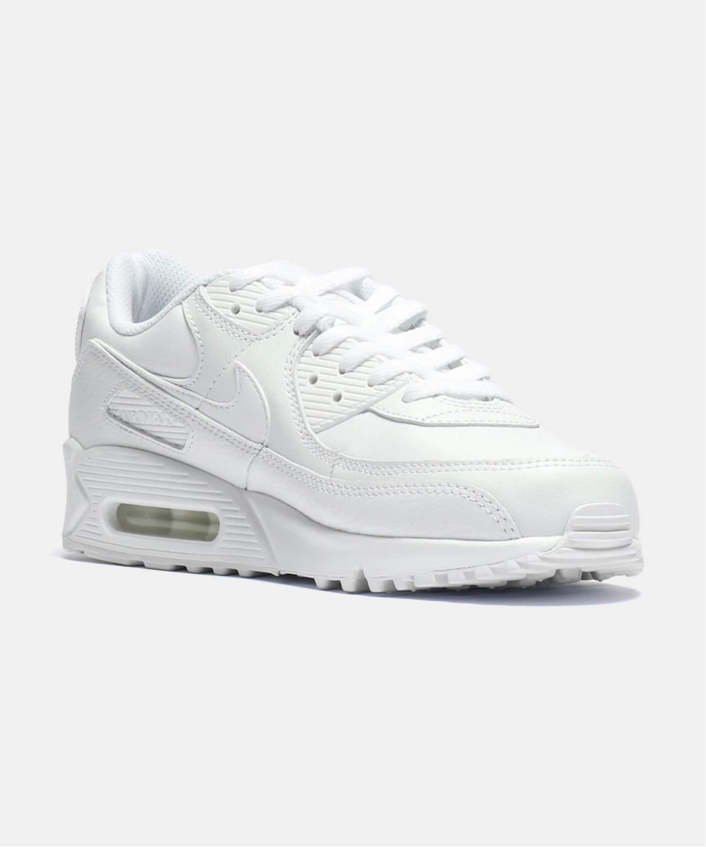 【NIKE / ナイキ】AIR MAX 90 LTR CZ5594-100