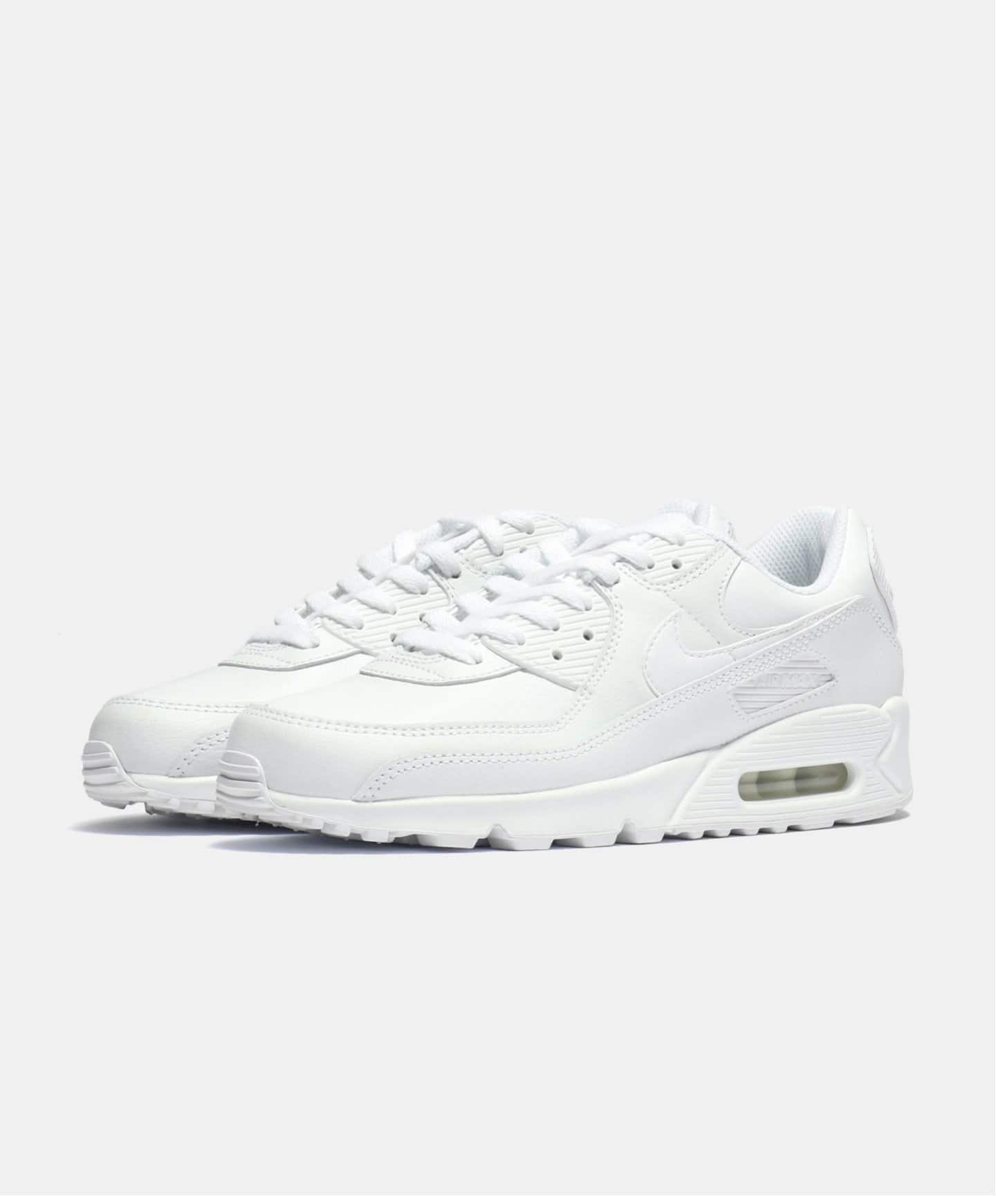 【NIKE / ナイキ】AIR MAX 90 LTR CZ5594-100