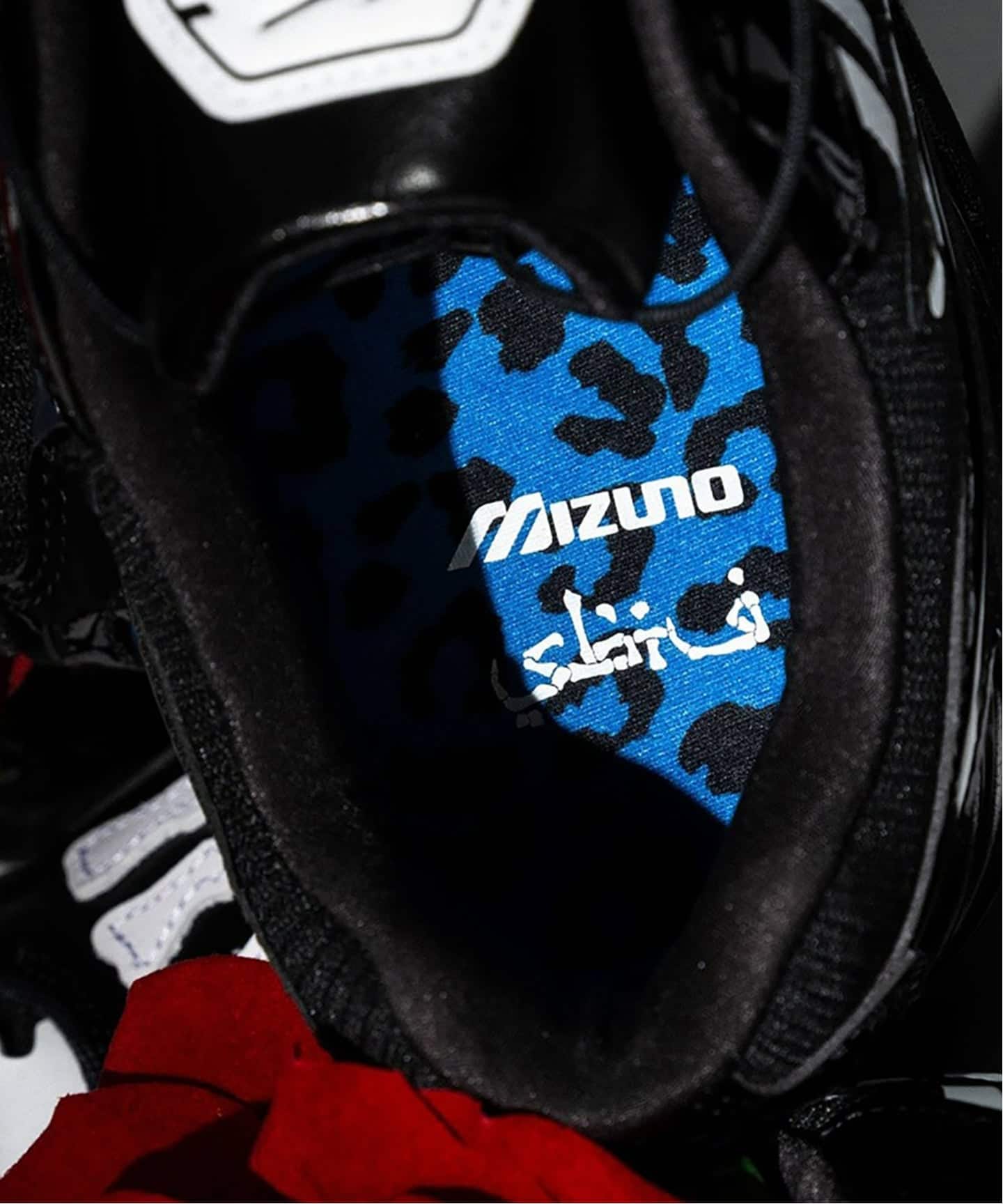 MIZUNO WAVE RIDER 10 SBTG D1GD2526-01