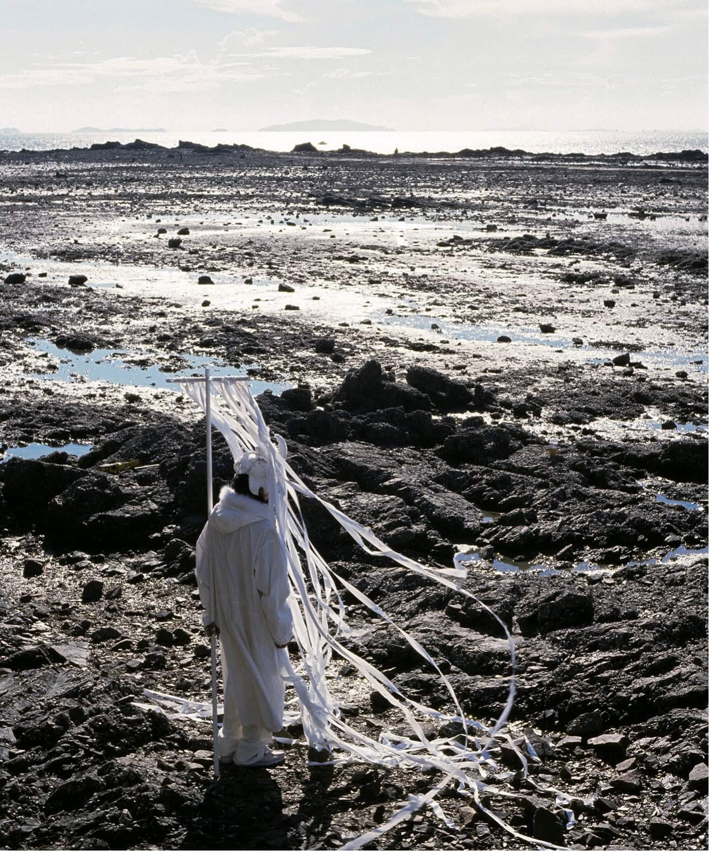 Clarks WallabeeBT PAF 26186607