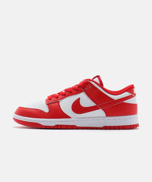 NIKE DUNK LOW RETRO HF5441-104