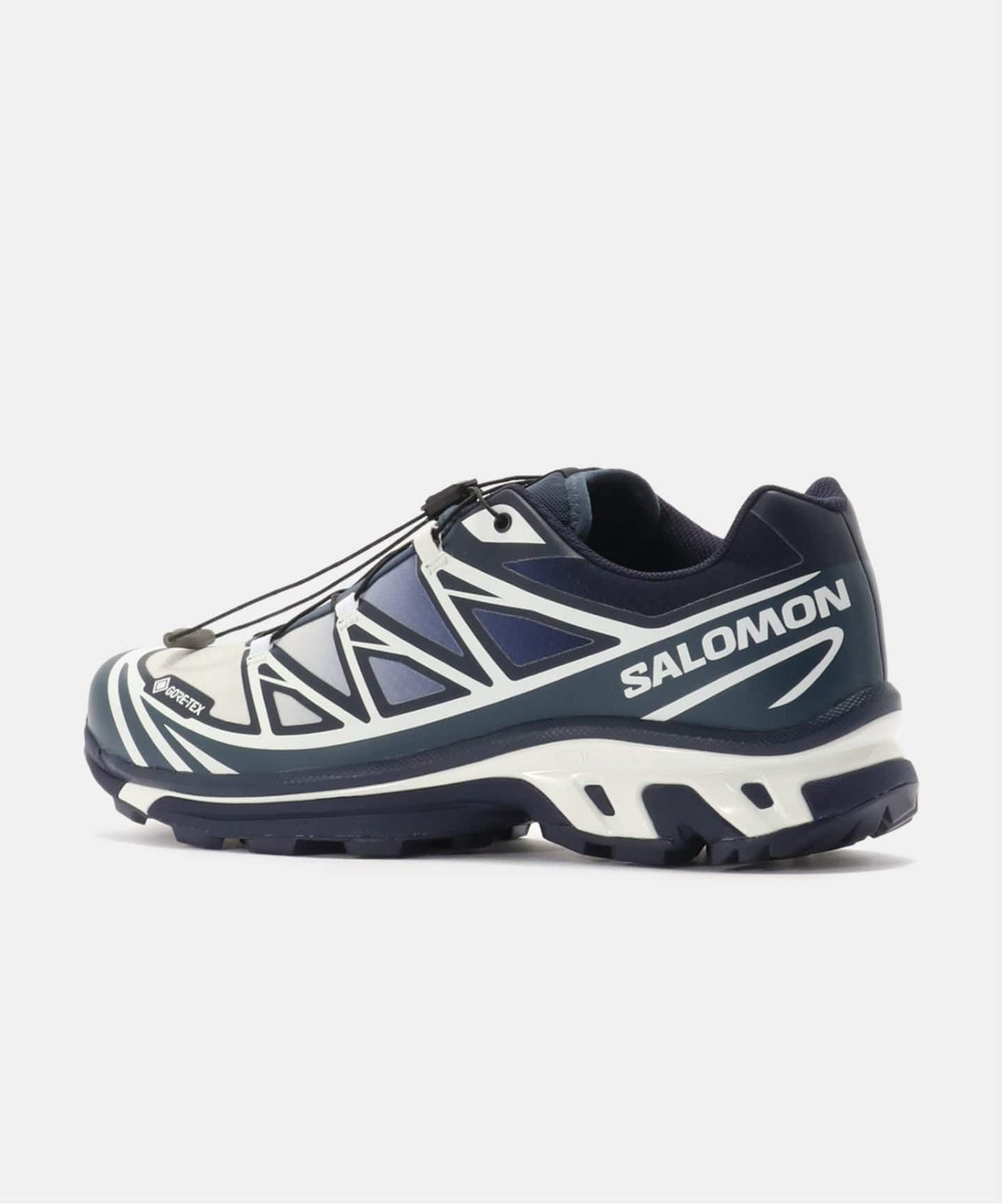 SALOMON XT-6 GTX JAPAN "NAMI PACK" L45440300