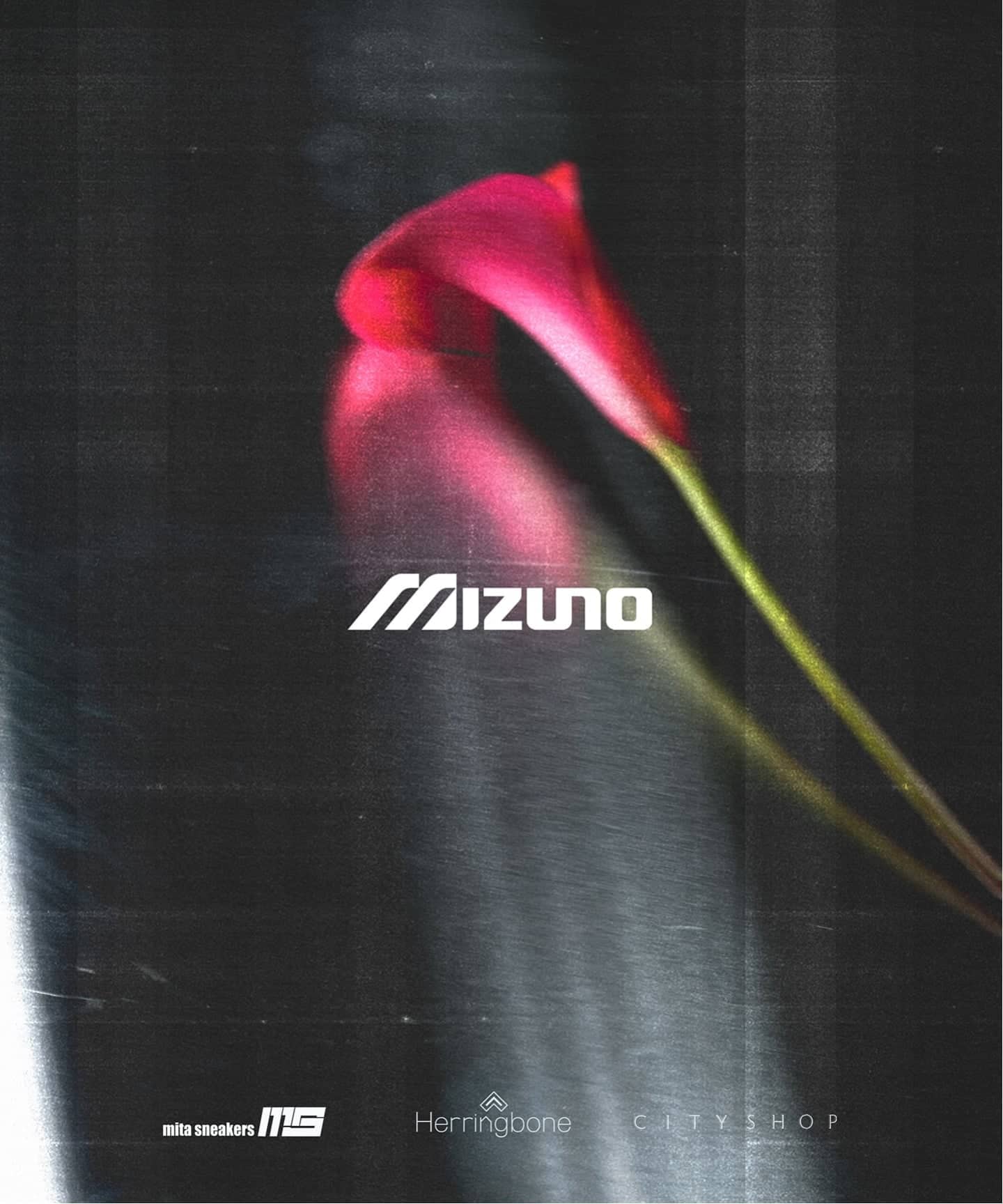 【日本国内限定カラー】MIZUNO WAVE PROPHECY LS D1GA3337-08