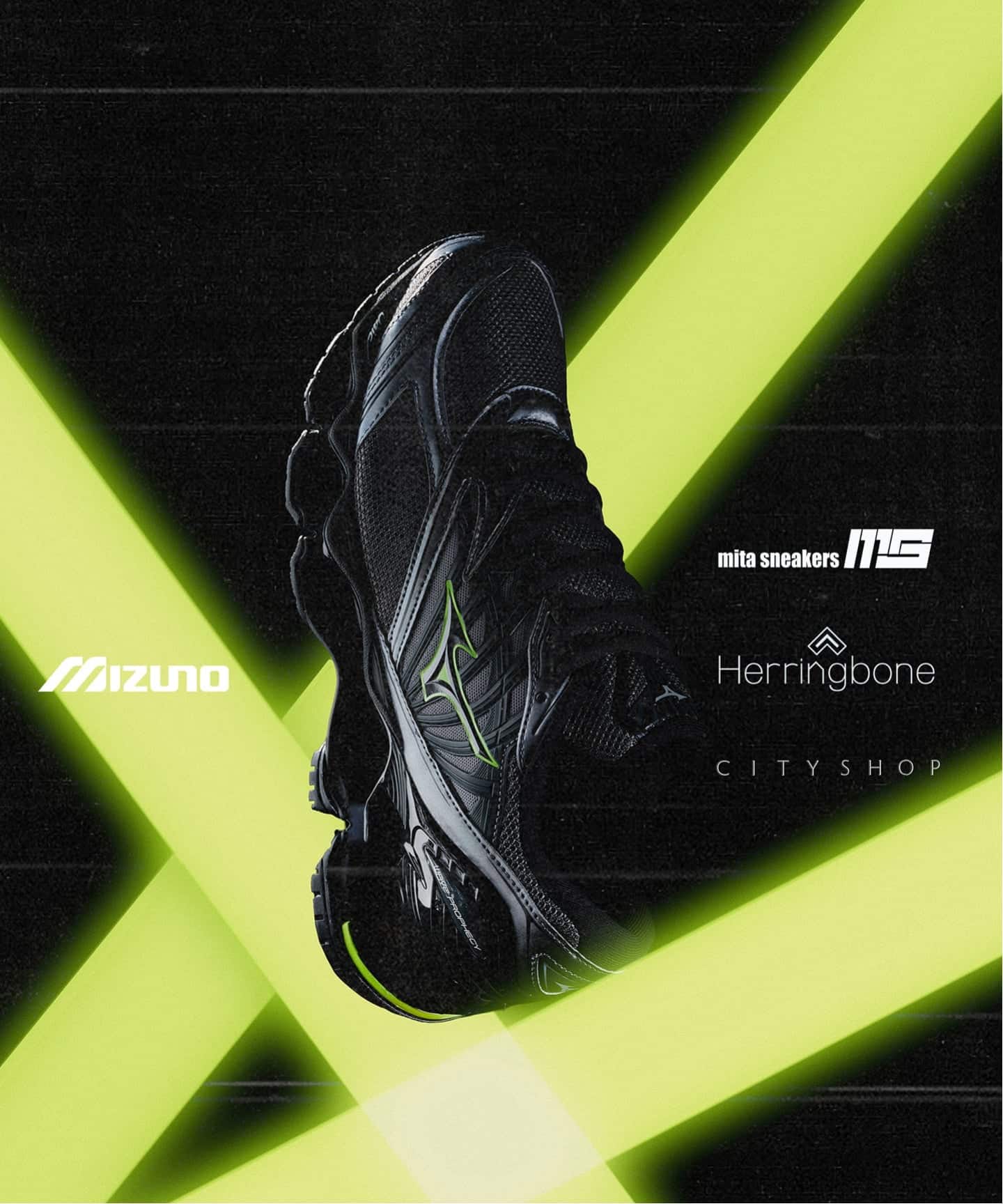 【日本国内限定カラー】MIZUNO WAVE PROPHECY LS D1GA3337-09