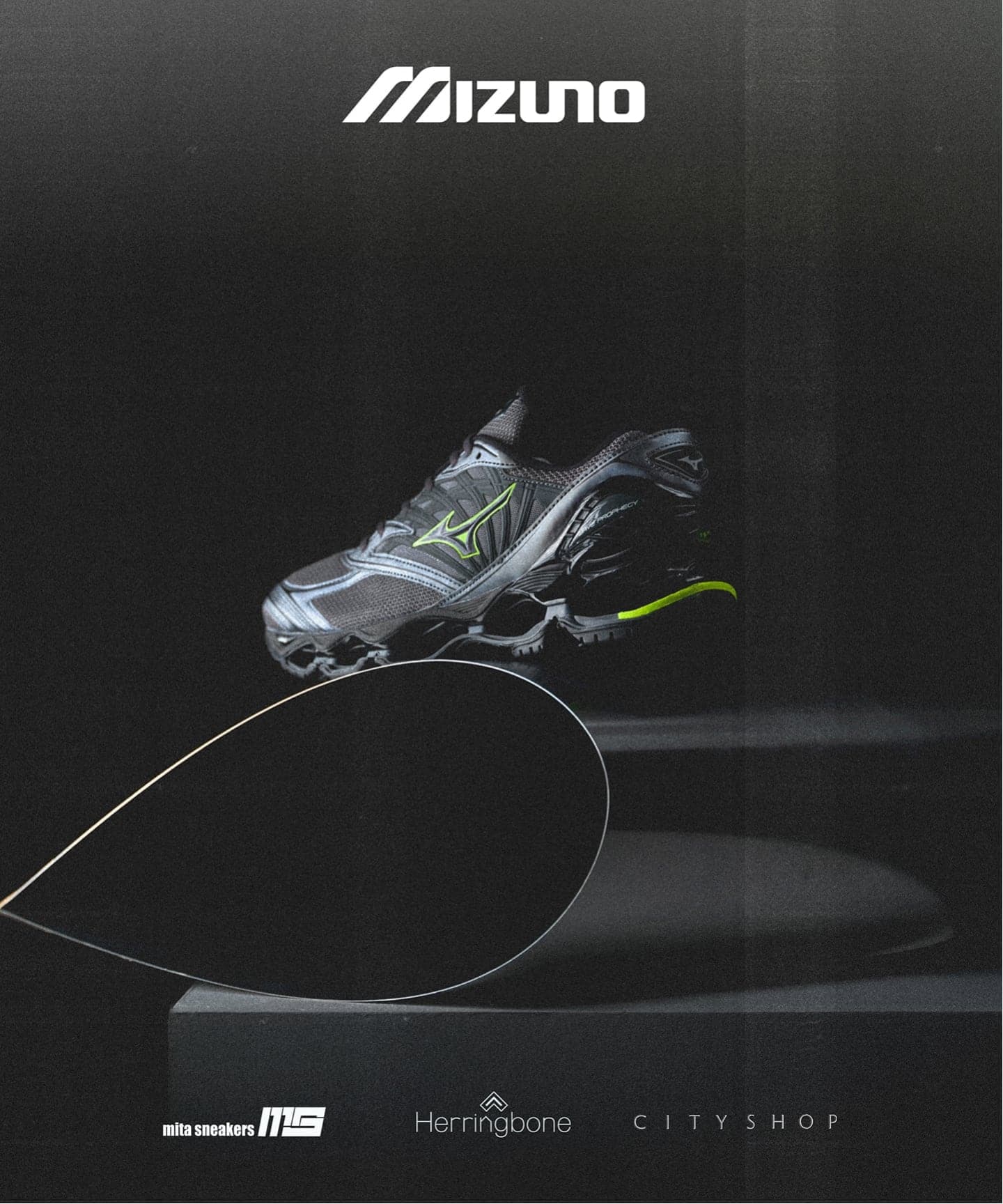 【日本国内限定カラー】MIZUNO WAVE PROPHECY LS D1GA3337-09