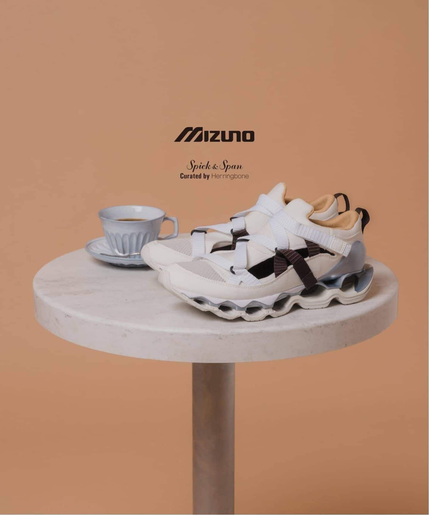 MIZUNO WAVE PROPHECY STRAP 別注 Curated by Herringbone D1GA2520-01