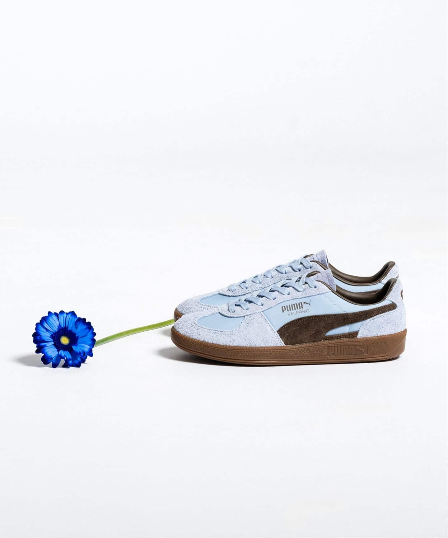 PUMA PALERMO Curated by Herringbone Footwear 408168-02