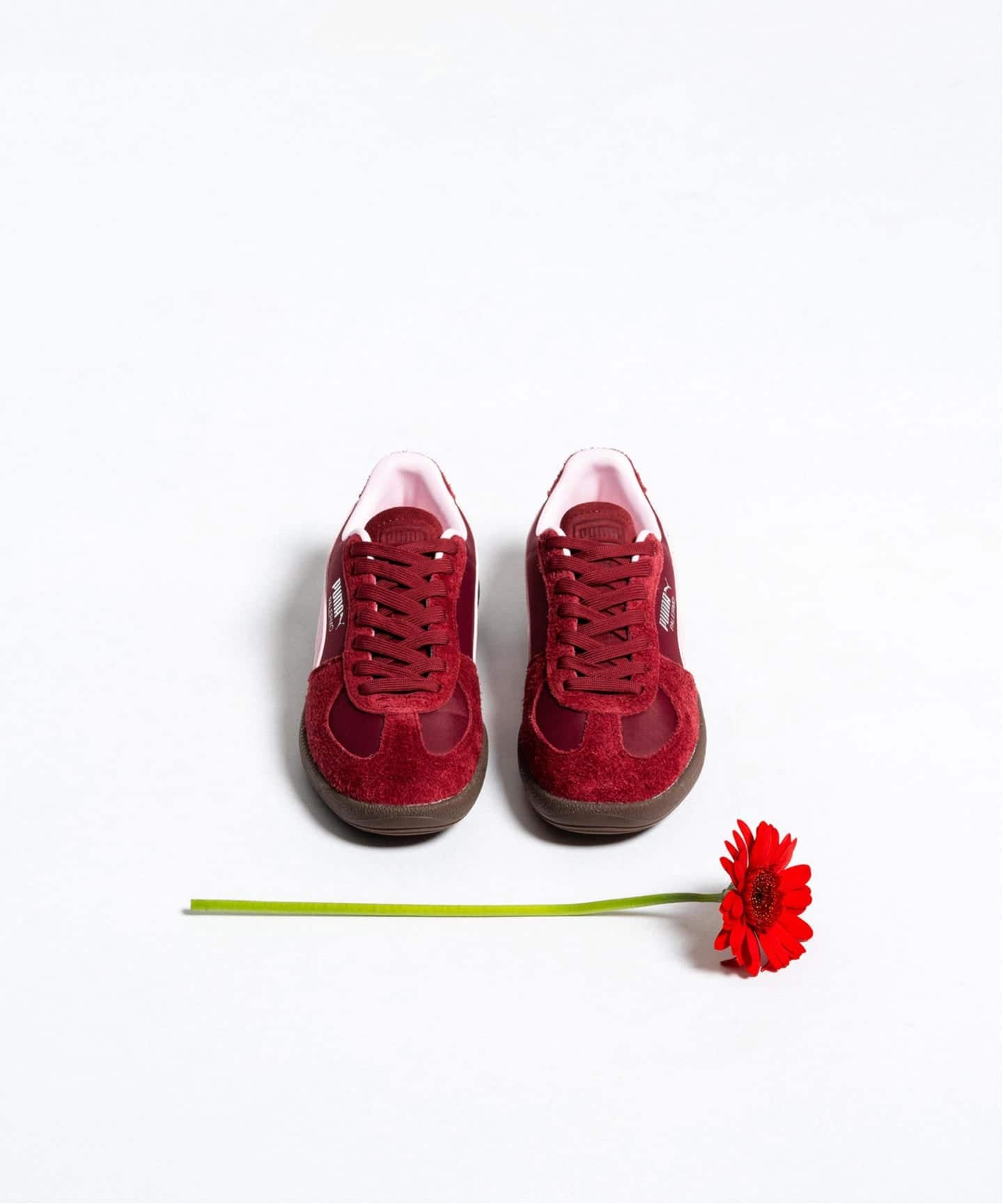 PUMA PALERMO Curated by Herringbone Footwear 408168-01