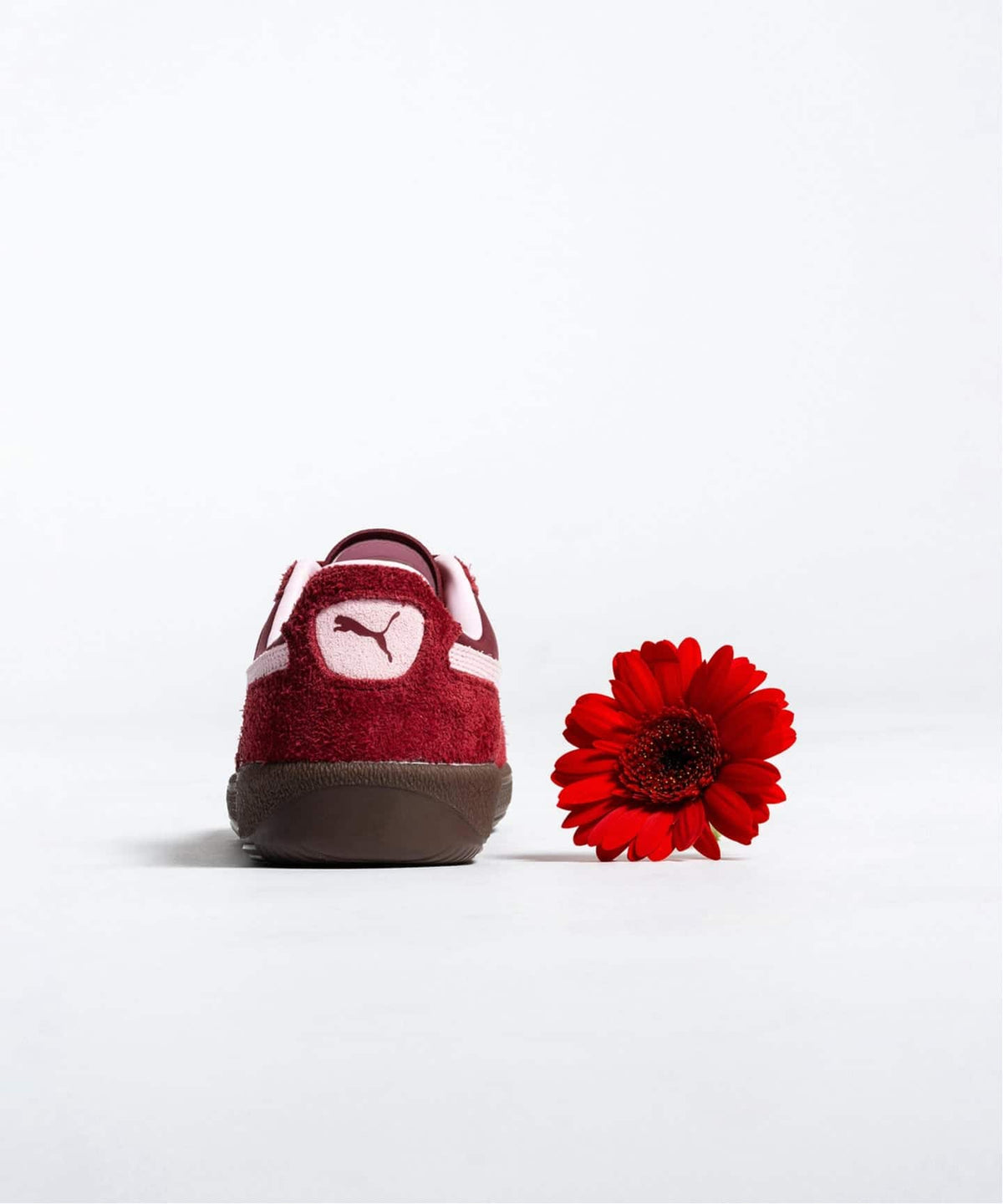 PUMA PALERMO Curated by Herringbone Footwear 408168-01