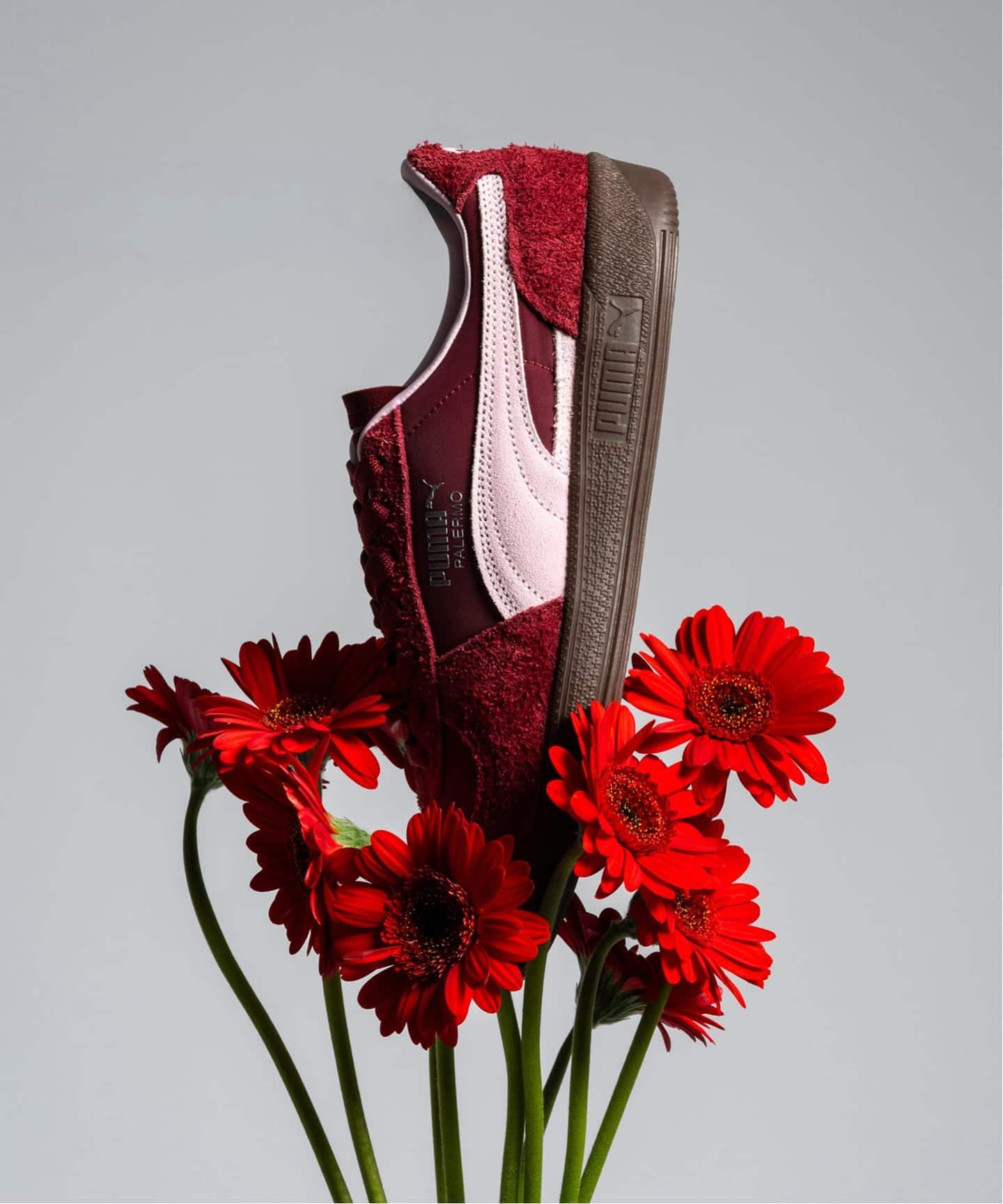 PUMA PALERMO Curated by Herringbone Footwear 408168-01