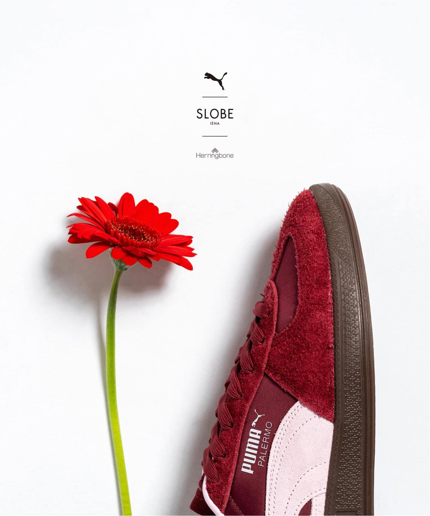 PUMA PALERMO Curated by Herringbone Footwear 408168-01