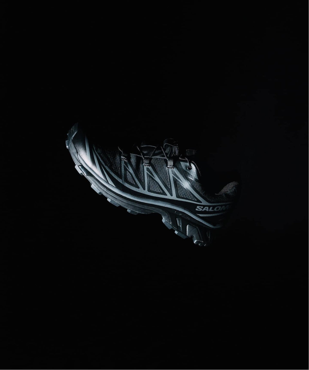 SALOMON XT-6 GTX L45416900
