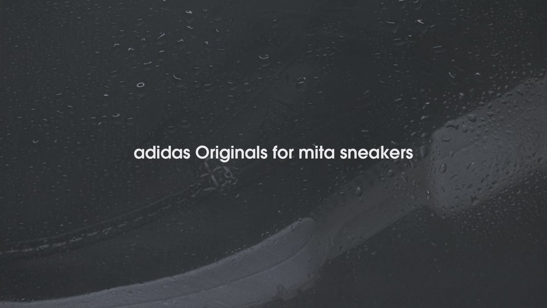 動画を読み込む: 